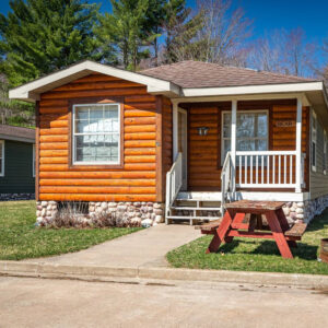 The Bear Cabin